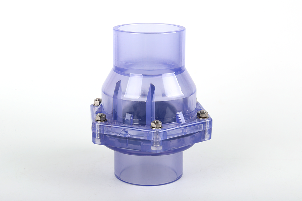 竞秀透明翻板式止回阀